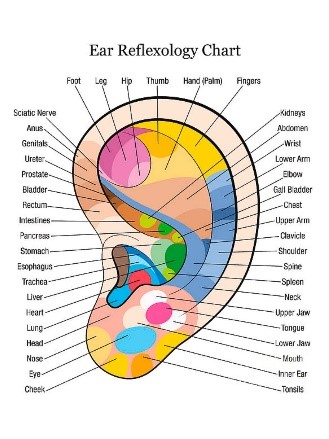 Oor reflexzone therapie